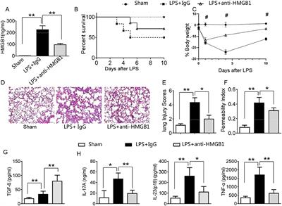 The Modulation of Regulatory T Cells via HMGB1/PTEN/β-Catenin Axis in LPS Induced Acute Lung Injury